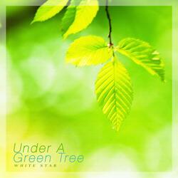 Feeling The Warmth Of Spring