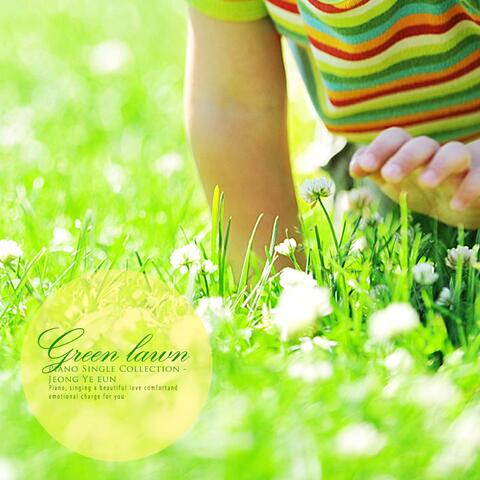 Green lawn