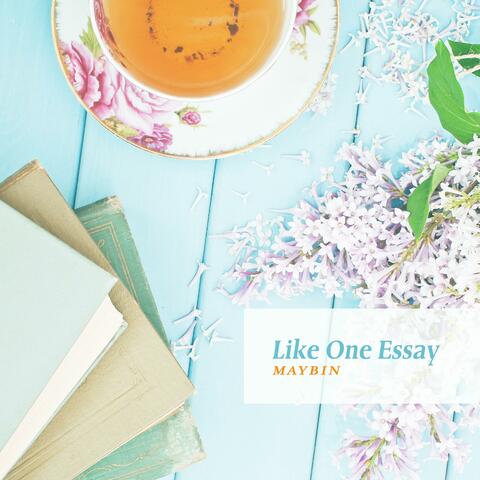 Like One Essay