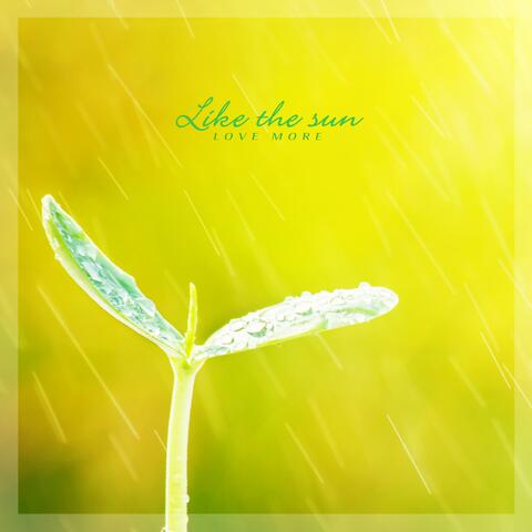 Like The Sun