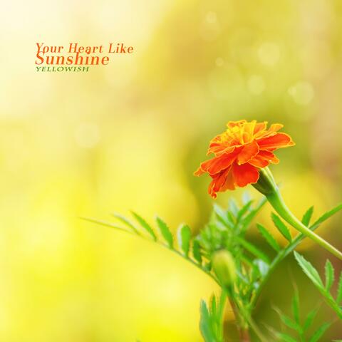 Your Heart Like Sunshine