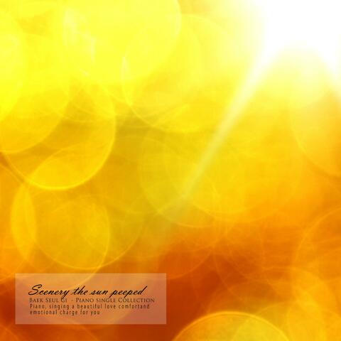 The sunny landscape