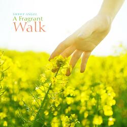 A Fragrant Walk