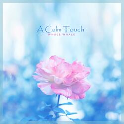 A Calm Touch