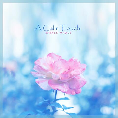 A Calm Touch