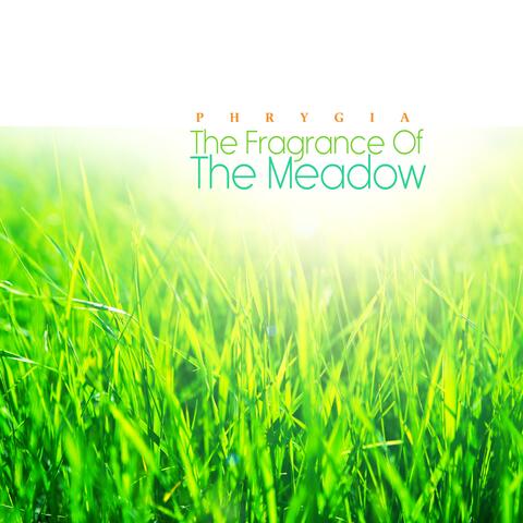 The Fragrance Of The Meadow