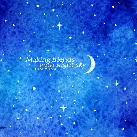 Making Friends With Night Sky