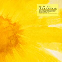 Thank You For Your Heart