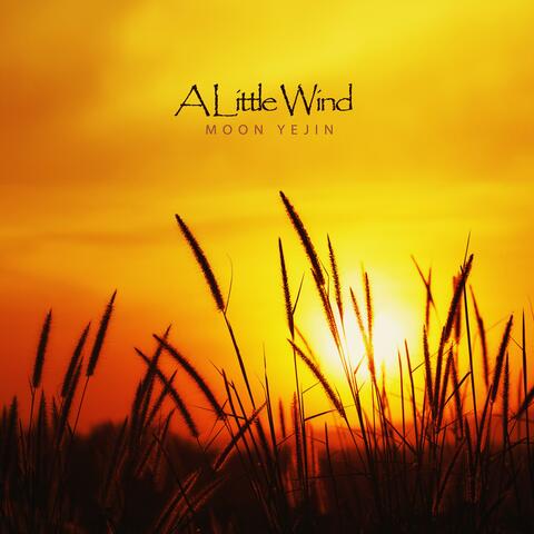 A Little Wind
