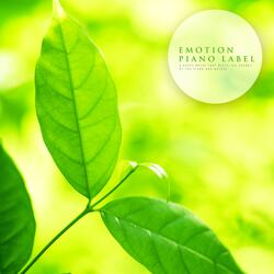 I Have The Same Dream As You Every Day