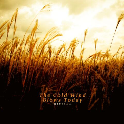The Cold Wind Blows Today