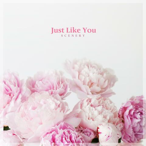 Just Like You