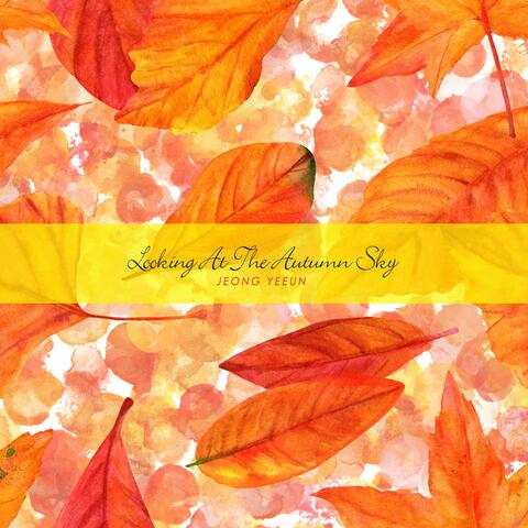 Looking At The Autumn Sky