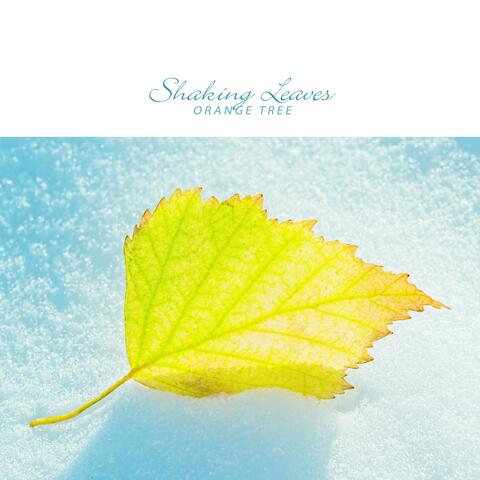 Shaking Leaves