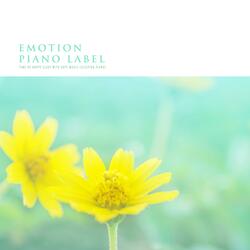 Night Of The Milky Way