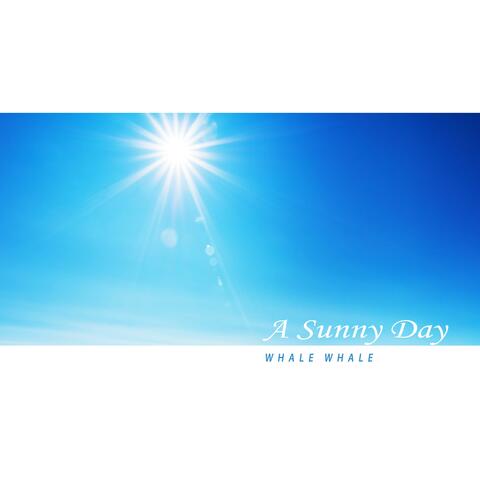 A Sunny Day
