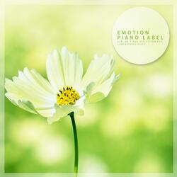 Travel Of Small Clouds