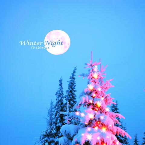 Winter Night
