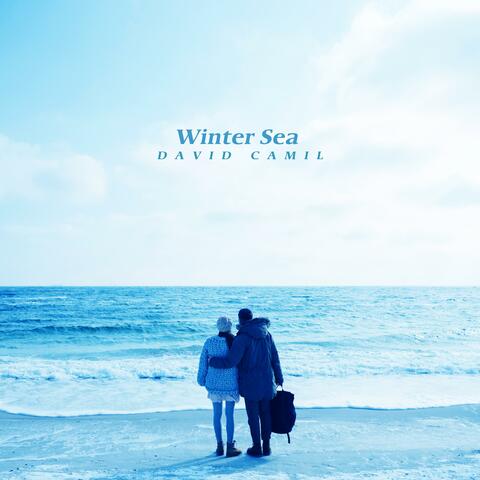 Winter Sea
