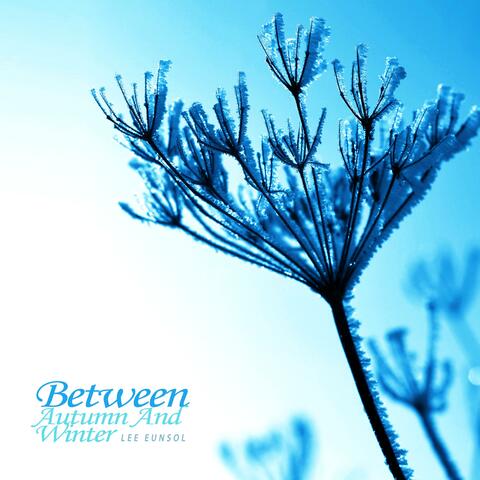 Between Autumn And Winter