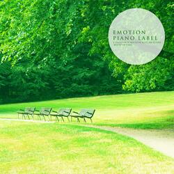 Where My Heart Can Rest