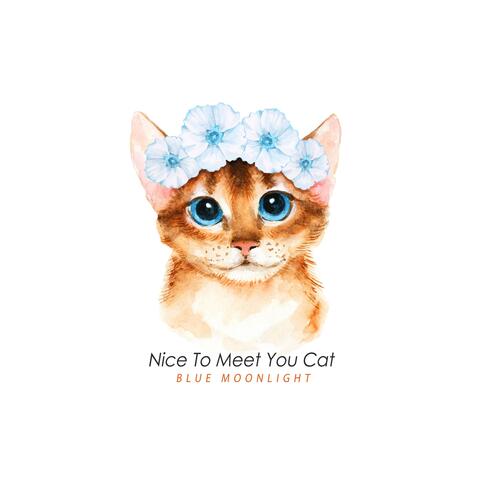 Nice To Meet You Cat
