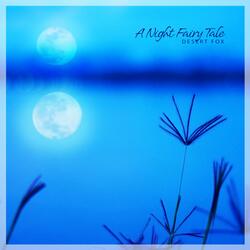 A Night Fairy Tale