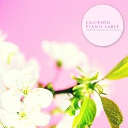 Mysterious, Your Figure