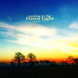 Looking At The Dawn Light