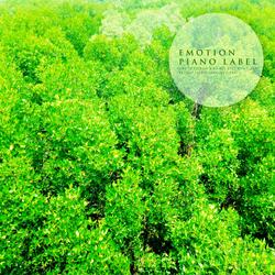 The Warmth From The Sky