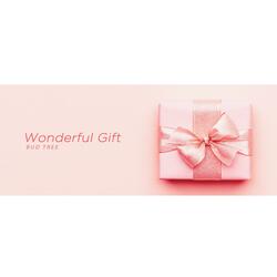 Wonderful Gift