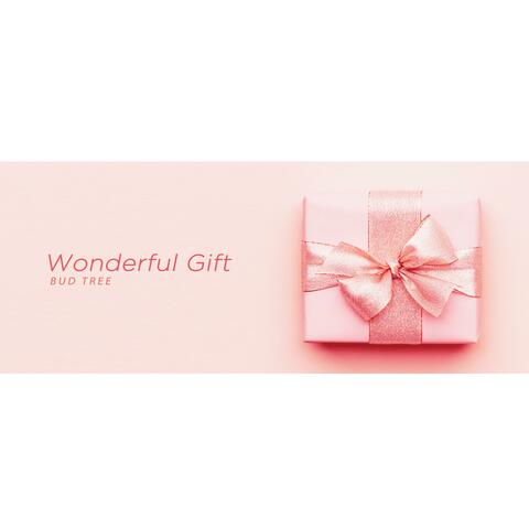 Wonderful Gift