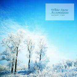 White Snow Accumulates
