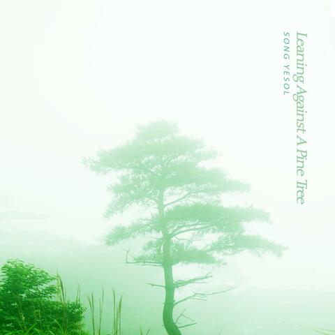 Leaning Against A Pine Tree