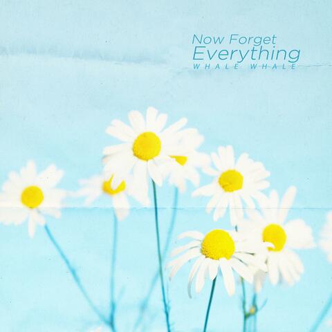 Now Forget Everything
