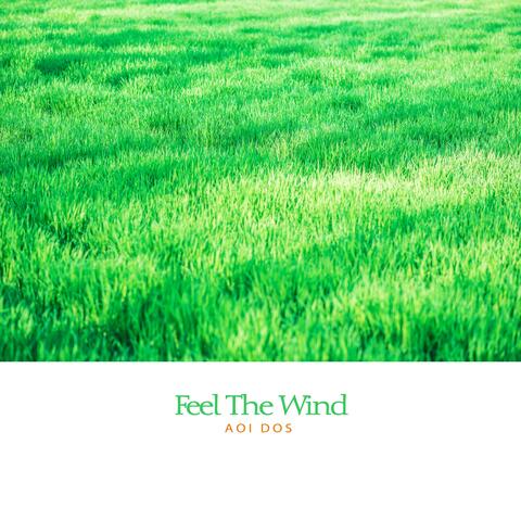 Feel The Wind