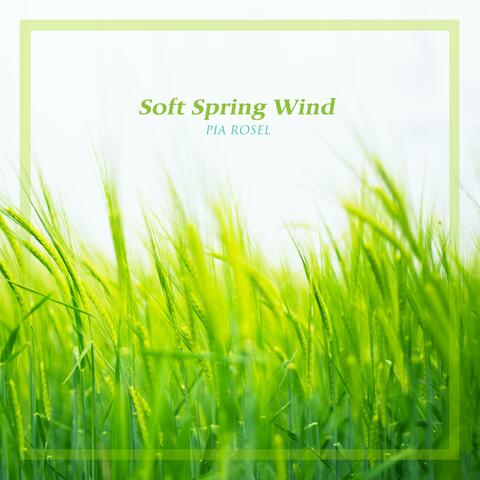 Soft Spring Wind