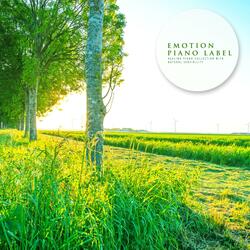 Where My Heart Can Rest