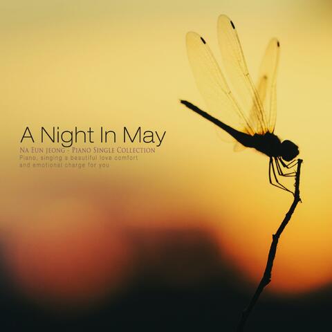 A Night In May