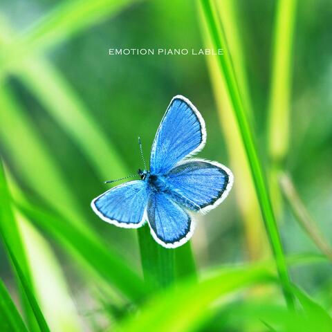 Butterfly Dance