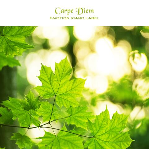 Carpe Diem