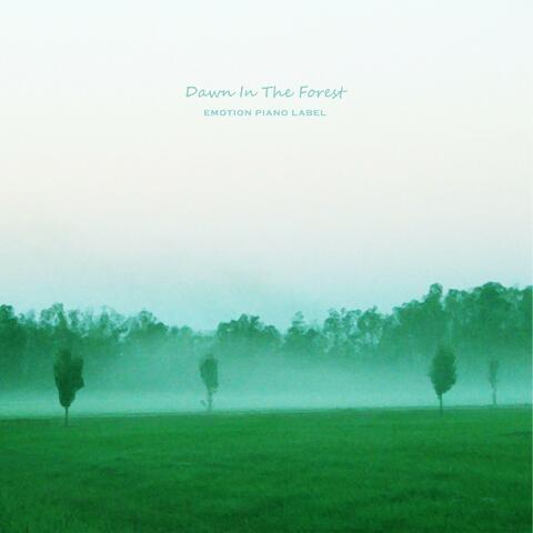 Dawn In The Forest