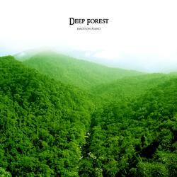 Shadow Of The Forest