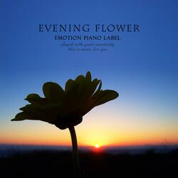 Evening Flower
