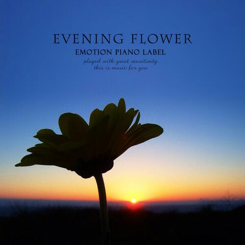 Evening Flower