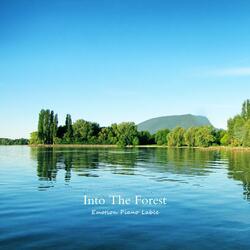 The birds are leaving.