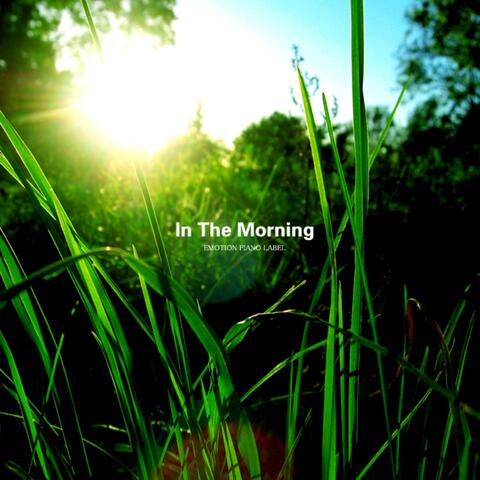 In The Morning