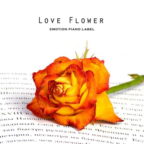 Love Flower