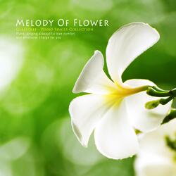 Melody Of Flower