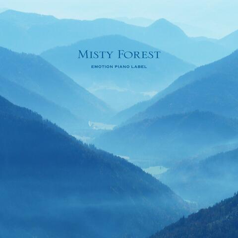 Misty Forest